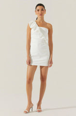 Camilla Ruffle One Shoulder Dress