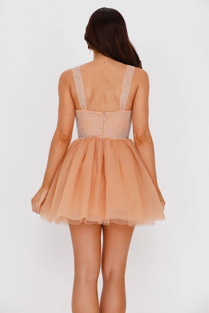 Lady Of The Palace Tulle Mini Dress Nude